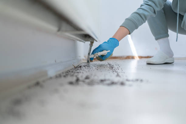 Pest Control Cost in Pepeekeo, HI